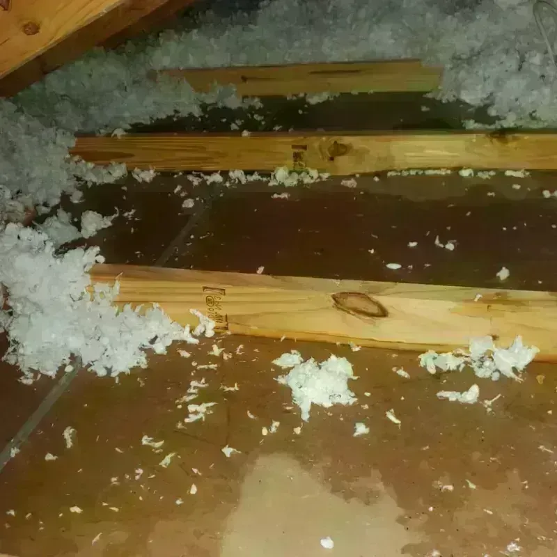 Attic Water Damage in Lincoln County, NM