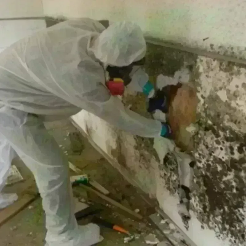 Mold Remediation and Removal in Lincoln County, NM